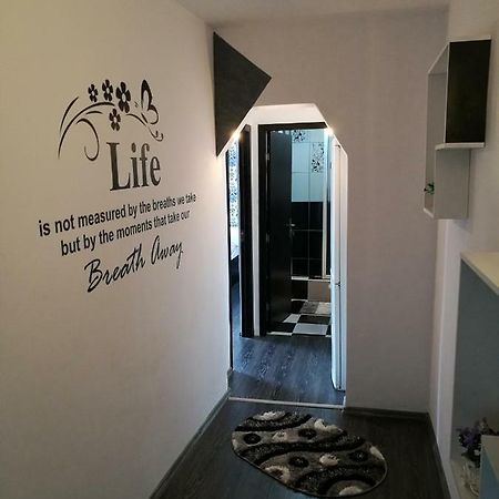White Black Rooms Хунедоара Екстер'єр фото